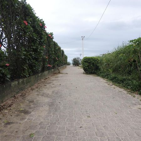 Lindo Apartamento 500M Da Praia Ingleses Norte Florianópolis Zewnętrze zdjęcie