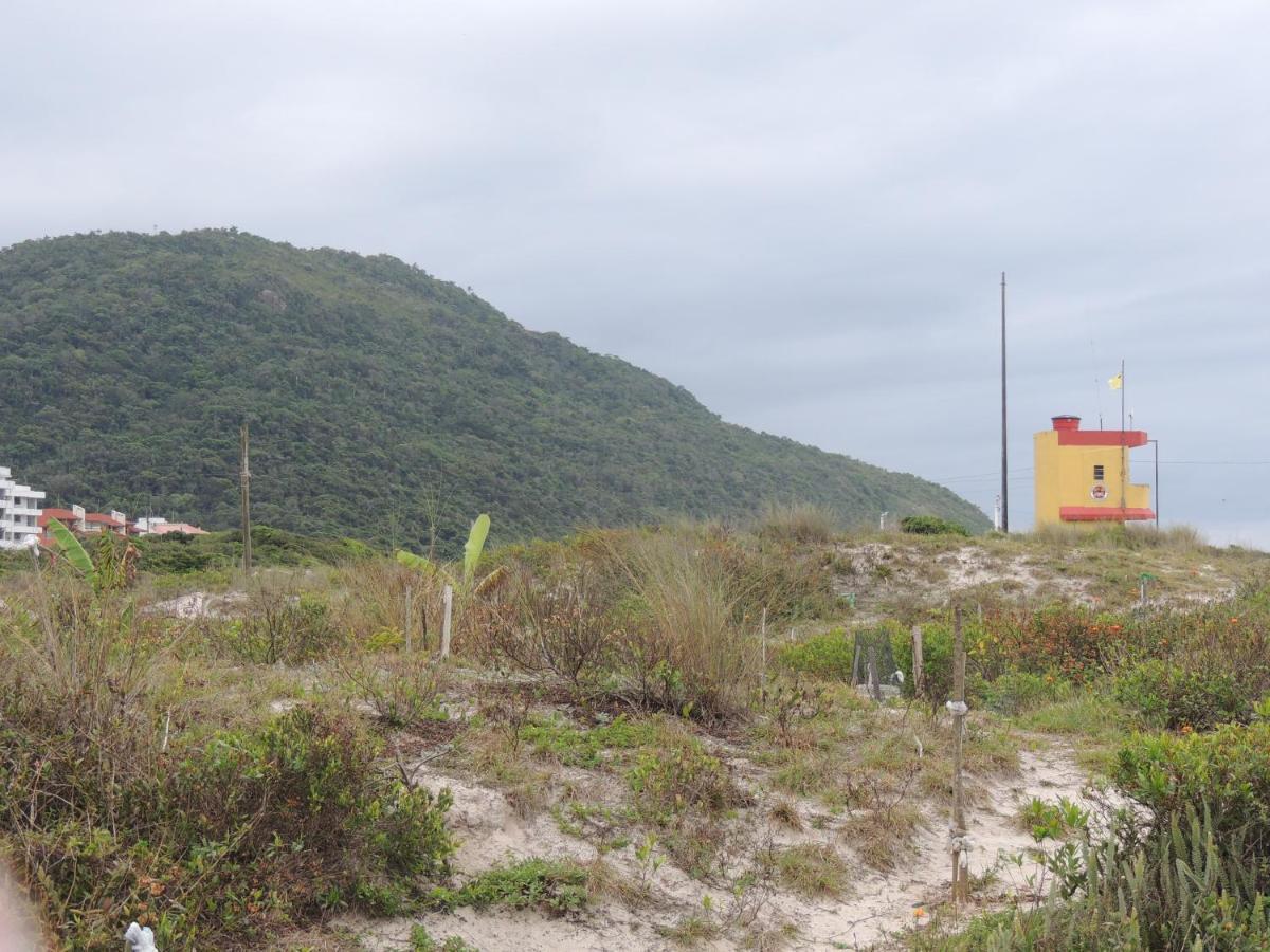 Lindo Apartamento 500M Da Praia Ingleses Norte Florianópolis Zewnętrze zdjęcie
